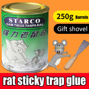 rat sticky trap glue Sticky insect board greenhouse fruit fly trap lure board sticker agricultural