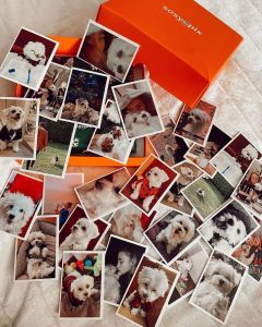 1 Hari Kirim - Cetak Foto Estetik Polaroid 2R — Ready 75 Lembar | 1 Hari Jadi | Glossy Tebal | Free Ongkir!