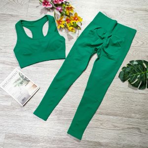 Bộ đồ tập gym yoga aerobic thể thao nữ bao gồm áo bra kèm mút và quần dài chun mông chất liệu thun dệt kim BINSPORTS BD247
