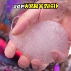 【魔芋洗脸扑】核桃籽天然沐浴海绵清洁魔芋洁面洗脸扑加厚海藻洗脸洁面扑[Konjac Facial Cleansing Puff] Walnut Seed Natural Bath Sponge Cleaning Konjac Facial Cleansing Puff Thickened Seaweed Facial Cleansing Puff
