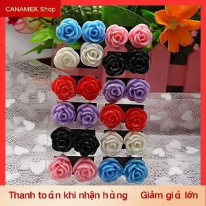 CS 12 đôi khuyên tai nụ hoa hồng huyền bí màu sắc pha trộn bán sỉ