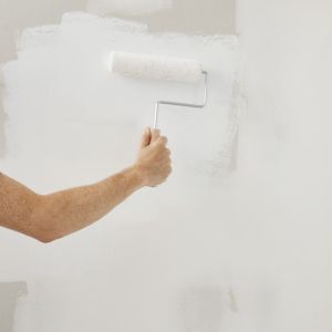 SINAR NIPPON Q SHIELD 1 LITER EXTERIOR WALL PAINT MATT (UNGU) /CAT DINDING LUAR RUMAH TAK KILAT ( NPSG PURPLES )