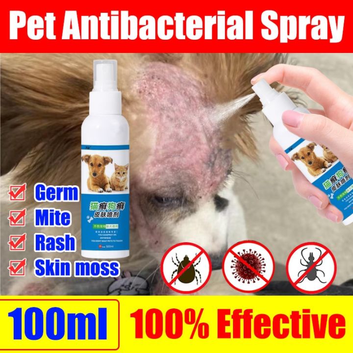 100ML Pet Skin Treatment for Dogs and Cats Pet Anti Fungal Mange Itchy ...