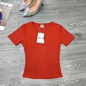 Áo thun tăm cổ V ôm body nữ gân tăm QC trơn ( cổ V TN HN )