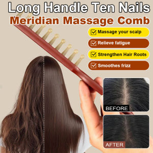 🔥Buy 1 Get 1 Free🔥 Makeup Hair Comb Hair Comb Accessories Relieve Fatigue Reduce Hair Loss Enjoy Wide-Tooth Scalp Massage Comb Beauty Comb Scalp Care Long Handle Beauty & Skin Care