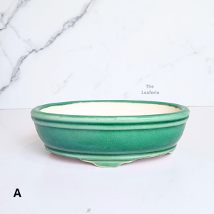 The Leaferie Bonsai Pot (Series 63) Oval plant pots flowerpot . flowerpots . flower pot . planter