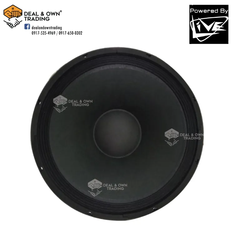 Live speaker hot sale 15 inch