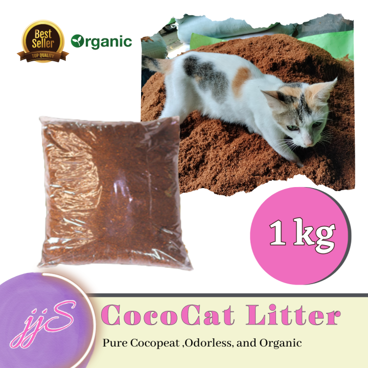 Pet Supplies Top Cat Accessories PAWSUP Plastic Pet Food Bowl, In