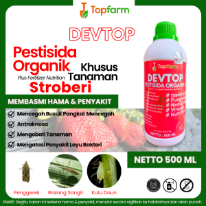 Obat Hama Stroberi / Obat Busuk Buah Stroberi / Obat Buah Stroberi / Obat Akar Stroberi / Obat Hama Jamur Akar Stroberi / Pestisida Nabati Buat Tanaman Stroberi / Obat Bercak Daun Strawnery Stroberi