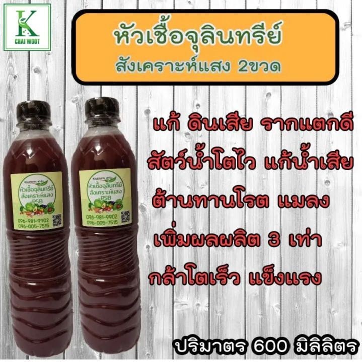 หัวเชื้อจุลินทรีย์สังเคราะห์แสง 600 มล. สูตรเข้มข้น พร้อมวิธีขยายเชื้อ