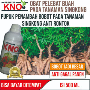 Pupuk Penyubur Akar dan Daun Singkong Kno3  Pupuk NPK Cair Plus Ga3 Plus Humid Acid untuk Tanaman Singkong yang Bagus Paling Manjur Pupuk Alami Tanaman Singkong Pupuk Organik Tanaman Singkong Paling Ampuh TERLARIS