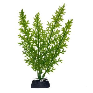 MIIQNUS Decorative Simulation Water Grass Lifelike 18cm Aquatic Water Grass Imitation Water Plant Seaweed Ornaments Artificial Underwater Plants Aquarium