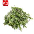 Lá hương thảo tươi (Lá Rosemary). 