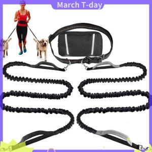 March Tay Miễn Phí Con Chó Có Thể Thu Vào Dây Xích Đàn Hồi Phản Quang Kéo Sợi Dây Thừng Eo Túi Con Chó Kéo Sợi Dây Thừng Cho Chạy Đi Bộ Sản Phẩm Vật Nuôi