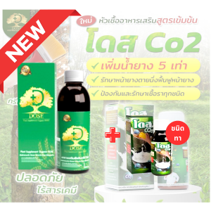 โดส CO2(สูตรทา) ยางพารา นวัตกรรมปุ๋ยอากาศ  เซตเพิ่มผลผลิตX5เท่าไหลเร็ว ไหลนาน ออกสมำ่เสมอ น้ำยางขาวข้นต้นสมบูรณ์ไม่โทรม หน้ายางใสเสริมเปลือกไว