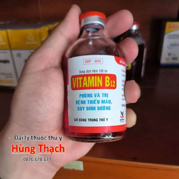 4. Những sản phẩm Vitamin B12 phổ biến