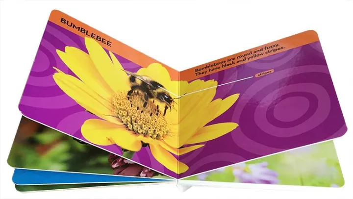 National%20Geographic%20Kids%20Look%20and%20Learn:%20Bugs%20(Look%20&%20Learn)%20Board%20book%20%E2%80%93%20Picture%20Book%20by%20National%20Geographic%20Kids%20Original%20English%20books%20-%20Image%204