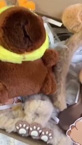 [FURNI HOME] Set quà tặng Chuột lang Capybara tặng sinh nhật valentine túi tote cốc giữ nhiệt. trung thu noel