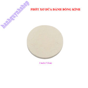 Phớt xơ dừa đánh bóng kính ô tô bể cá kích thước 5 inch 3 inch