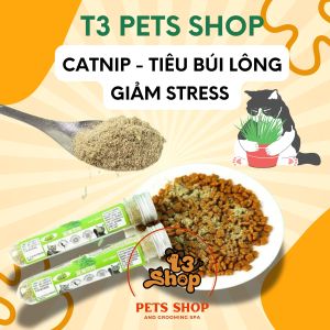 Cỏ bạc hà mèo Catnip - giảm stress - cho mèo phê pha không biết đường về - T3 PETS SHOP
