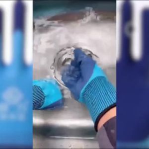 【Ship in 24H】赶海手套杀鱼专用防水防刺穿扎赶海工具防刺防水防割抓小龙虾大人Catch the sea gloves for killing fish waterproof and stinging25.3.21