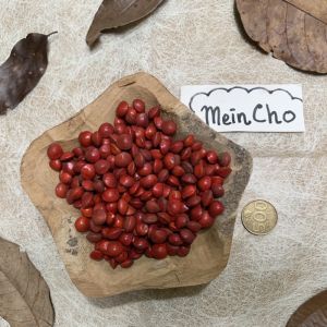 (100gr/350biji) Kerajinan Kolase Biji Saga Merah Hitam Saga Telik Jali Barley Jelali Dekorasi Rustik