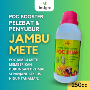 Pupuk Jambu Mete / Pupuk Pelebat Buah Jambu Mete / Pupuk Jambu Monyet / Pupuk Buah Jambu Monyet