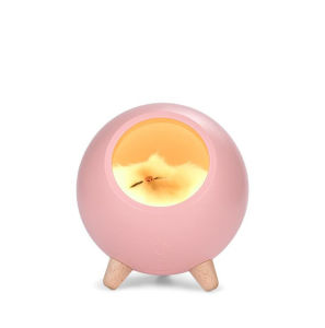 USB Charging Mini Night Light Cute Pet House LED Night Light Bedside Lamp Desktop Atmosphere Light for Holiday Childrens Gift