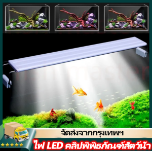 IIKKPP ROXIN GX-A600 โคมไฟตู้ปลา LED 16W สำหรับตู้ขนาด 60-70 cm. ไฟ LED ตู้ปลา ไฟหนีบ ตู้ปลาแบบยืดหดได้ ไฟส่องตู้ปลา 6 แถว ไฟหญ้า ไฟ LED สี light มันดี