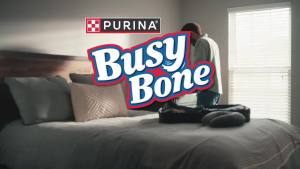 Purina Busy Bone Dog Chew Bone Treats Peanut Butter - 10 ct. Pouch