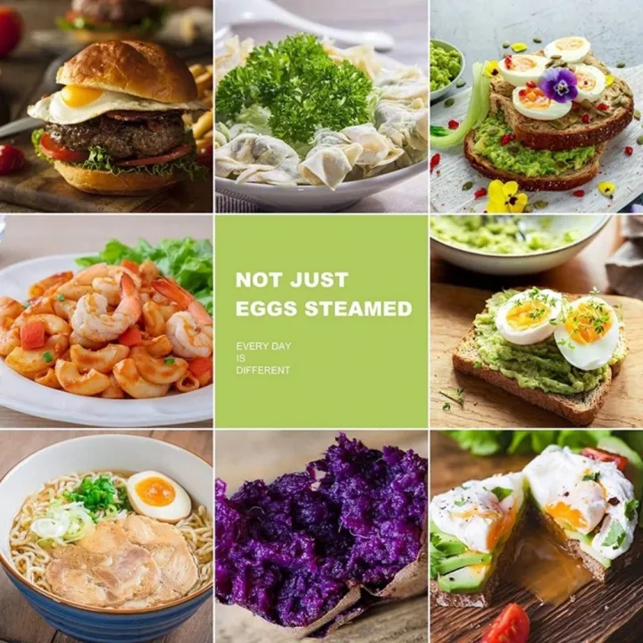 DS%20Electric%20Boiler%20Steamer%20Breakfast%20hine%20Cooker%20Multicooker%20Egg%20Frying%20Appliances%20For%20The%20Kitchen%20-%20Image%207