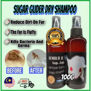 Cdf Dry Shampoo - Cdf Lap Lap Spray Shampoo Mandi Sugar Glider Spray Shampoo Easy To Use