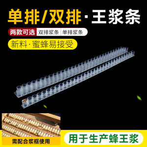 Cup telur mangkok ratu lebah tawon cerana melifera pembuatan jely telur