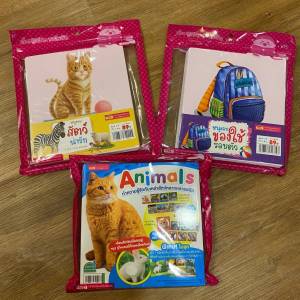 Flash card สัตว์ป่ามหาสนุก แฟลชการ์ดสิ่งของ ของใช้ Flash Card Animal things การ์ดคำศัพท์พื้นฐาน บัตรคำ เสริมพัฒนาการ  flashcard สัตว์น่ารัก