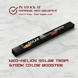 Neo Helios Solar Tropi Color Booster Aquarium Light 2in1 Tanning