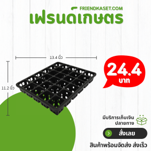 กระถาง ถาดหลุม ใส่กระถางต้นไม้ 4 เหลี่ยม ขนาด 2 นิ้ว 30 หลุม สีดำ Bundle 10 ใบ ชิ้น อัน