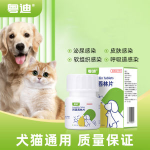 【Ship in 24H】阿莫西林片兽用狗狗猫宠物鸡鸭鹅呼吸泌尿皮肤感染抗菌兽药正品