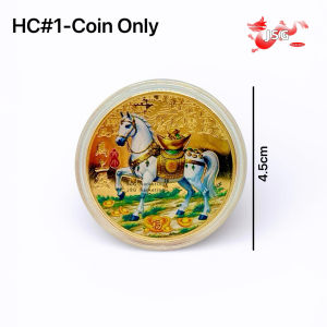 2027 Goat Year Lucky Golden Coin Double Sided Feng Shui Lucky Coin Wealth Blessing Collectible Gift