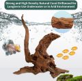 5 Pcs Driftwood Branches Aquarium Wood Decoration Natural Fish Tank Habitat Decor Wood for Lizard Assorted Size-Small. 