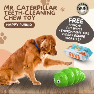 ✅[SG] MR. CATERPILLAR TEETH-CLEANING CHEW TOY ★ FREE Enrichment Tips & Ideas e-Guide Worth $7 ★ SG Stock ★ Kopi Lobang
