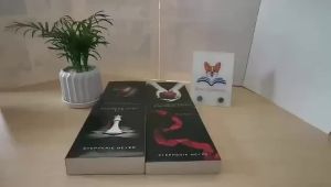 The Twilight Saga Series Books set of 4 by Stephenie Meyer (New Moon Eclipse) 4 books