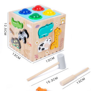 Đồ chơi giáo dục đồ chơi Montessori bằng gỗ Rèn kĩ năng phối hợp tay và mắt- DC5050