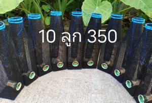 ตุ้มดักปลาไหลงาไม้ที่ดักปลาไหลงาไม้ไผ่ จำนวน 10 ลูก 350 บาท ขนาดความสูง43cmฐาน12ซม