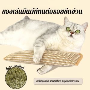 ของเล่นแมว หมอนแคทนิป ของเล่นเย็บฟัน แข็งแรง ทนทาน สนุกสนาน