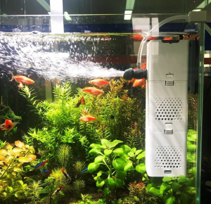 ปั๊มน้ำอีอกซิเจน ปั๊มออกซิเจน+กรองในตัว SUNSUN Xiaoli XQP-500F/XQP-1000F / XQP-1500F ปั๊มน้ำตู้ปลา