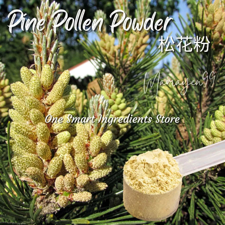 Wild Lodgepole Pine Pollen, 70 Grams – Surrey Natural Foods