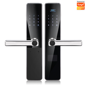 IP65 Waterproof double sides fingerprint smart door lock electronic 6068 mortise Stainless steel 304 Tuya bluetooth App Remotely control Digital door lock