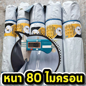 ผ้ายางปูบ่อ พลาสติกปูบ่อ หนา 80 120 150 ไมครอน เสริมป้องกันUV ปูบ่อปลา บ่อกบ