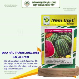 Hạt Giống Dưa Hấu F1 Thành Long 2068 Siêu Ngọt – 20g – Nam Việt Seeds