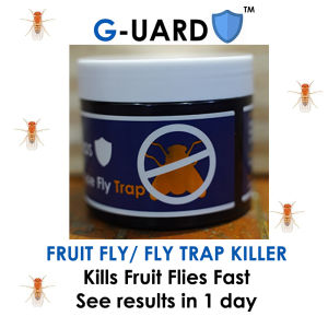 FRUIT FLY TRAP by G-UARD - Ultimate Fly Destroyer Poison Trap (Lalat Buah/果蝇/பழ ஈ)